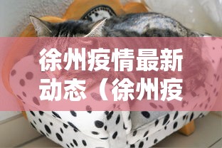 徐州疫情最新动态（徐州疫情最新消息通报）