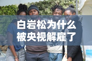白岩松为什么被央视解雇了/白岩松为何跌落神坛