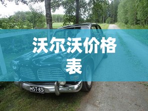沃尔沃价格表