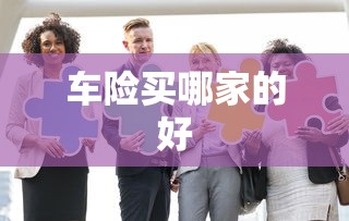 车险买哪家的好