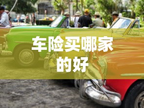 车险买哪家的好