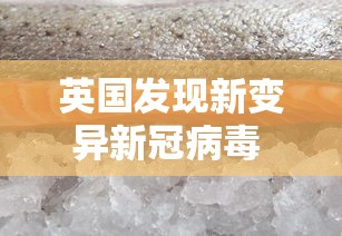 英国发现新变异新冠病毒 · 英国发现另一种变异新冠病毒暂无更大风险