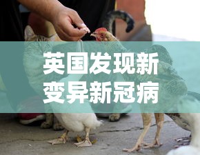 内蒙古新增本土确诊11例（内蒙古新增本土疑似病例1例）