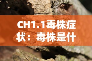 CH1.1毒株症状：毒株是什么病