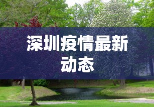 深圳疫情最新动态