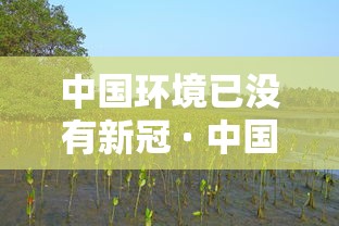 中国环境已没有新冠 · 中国没有新冠肺炎了吗