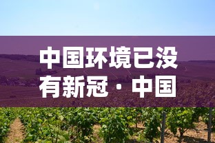 中国环境已没有新冠 · 中国没有新冠肺炎了吗