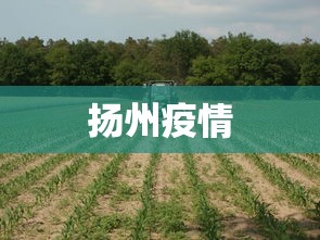 扬州疫情