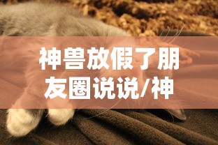 神兽放假了朋友圈说说/神兽放假了发朋友圈的说说