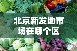 北京新发地市场在哪个区