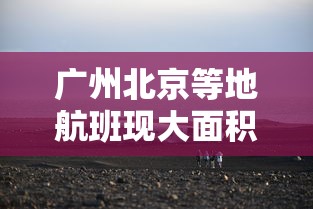 广州北京等地航班现大面积取消