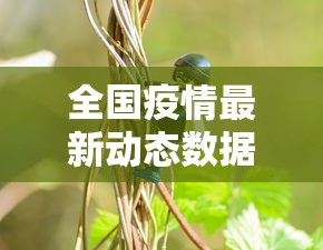 全国疫情最新动态数据/全国疫情最新消息数据公布