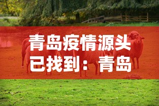 青岛疫情源头已找到：青岛 疫情 源头