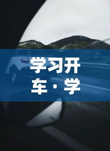 学习开车 · 学开车需要多长时间