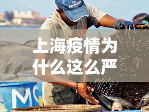 上海疫情为什么这么严重 · 上海疫情防控为什么这么好