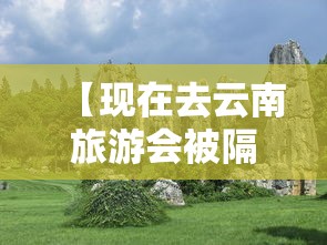 【现在去云南旅游会被隔离吗 → 现在去云南会不会被隔离】
