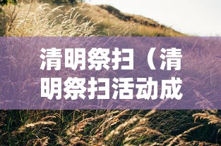 清明祭扫（清明祭扫活动成果）