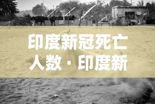 印度新冠死亡人数 · 印度新冠死亡人数累计多少例