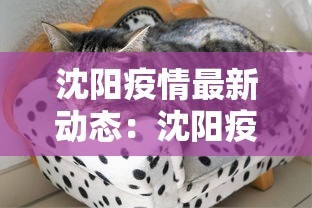 沈阳疫情最新动态：沈阳疫情最新消息病例