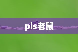 pis老鼠