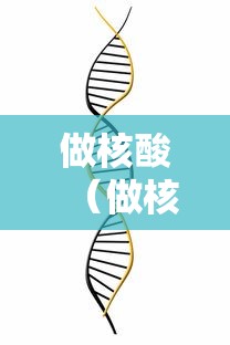做核酸（做核酸是哪一年）