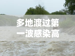 多地渡过第一波感染高峰/各省第一波感染高峰