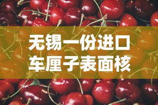 无锡一份进口车厘子表面核酸阳性/无锡进口车厘子阳性批次 无锡一份进口车厘子表面核酸阳性/无锡进口车厘子阳性批次