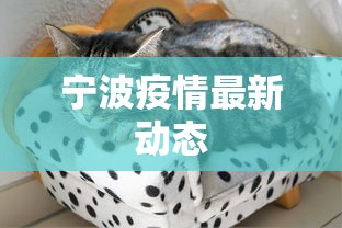 宁波疫情最新动态