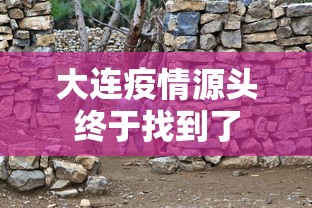 大连疫情源头终于找到了