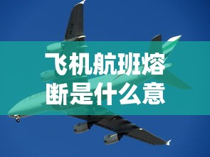 飞机航班熔断是什么意思：航班熔断条件是什么意思