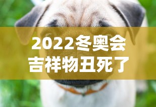 2022冬奥会吉祥物丑死了
