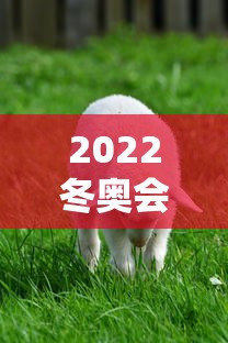2022冬奥会吉祥物丑死了