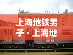 上海地铁男子 · 上海地铁男子被扇10耳光不还手
