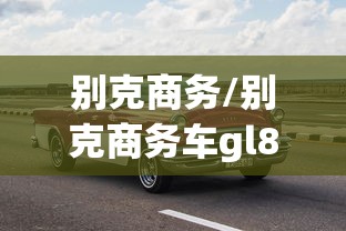 别克商务/别克商务车gl8