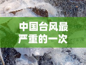 中国台风最严重的一次：中国台风最严重的一次是什么
