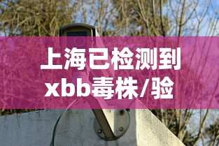 上海已检测到xbb毒株/验证上海毒药