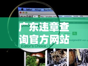 广东违章查询官方网站：广东违章查询在线