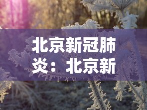 北京新冠肺炎：北京新冠肺炎确诊死亡率约19%