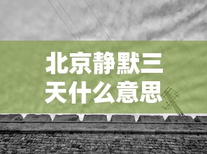 北京静默三天什么意思
