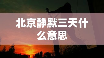 北京静默三天什么意思