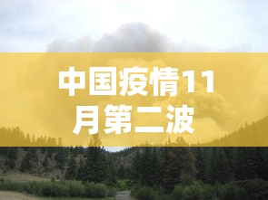 中国疫情11月第二波
