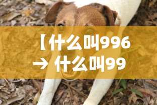 【什么叫996 → 什么叫996现象】