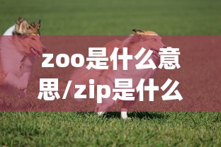 zoo是什么意思/zip是什么意思