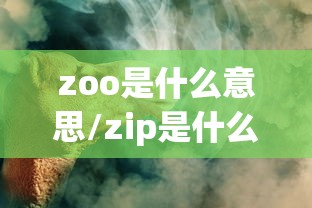 zoo是什么意思/zip是什么意思