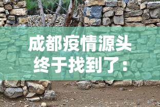 成都疫情源头终于找到了：内陆城市成都突发疫情,源头在哪里?专家详解调查过程