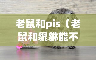 老鼠和pis（老鼠和貔貅能不能在一起）