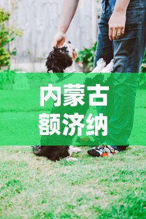 内蒙古额济纳旗所有人居家抗疫：额济纳旗抗疫新要求