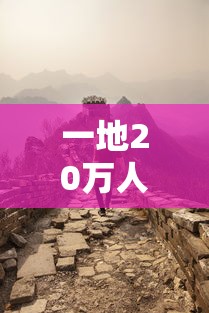 一地20万人被赋黄码