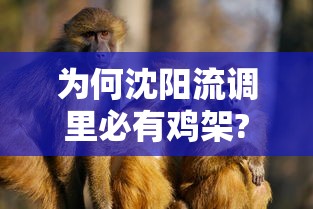 为何沈阳流调里必有鸡架?：沈阳流调鸡架什么意思