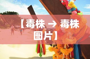 【毒株 → 毒株图片】